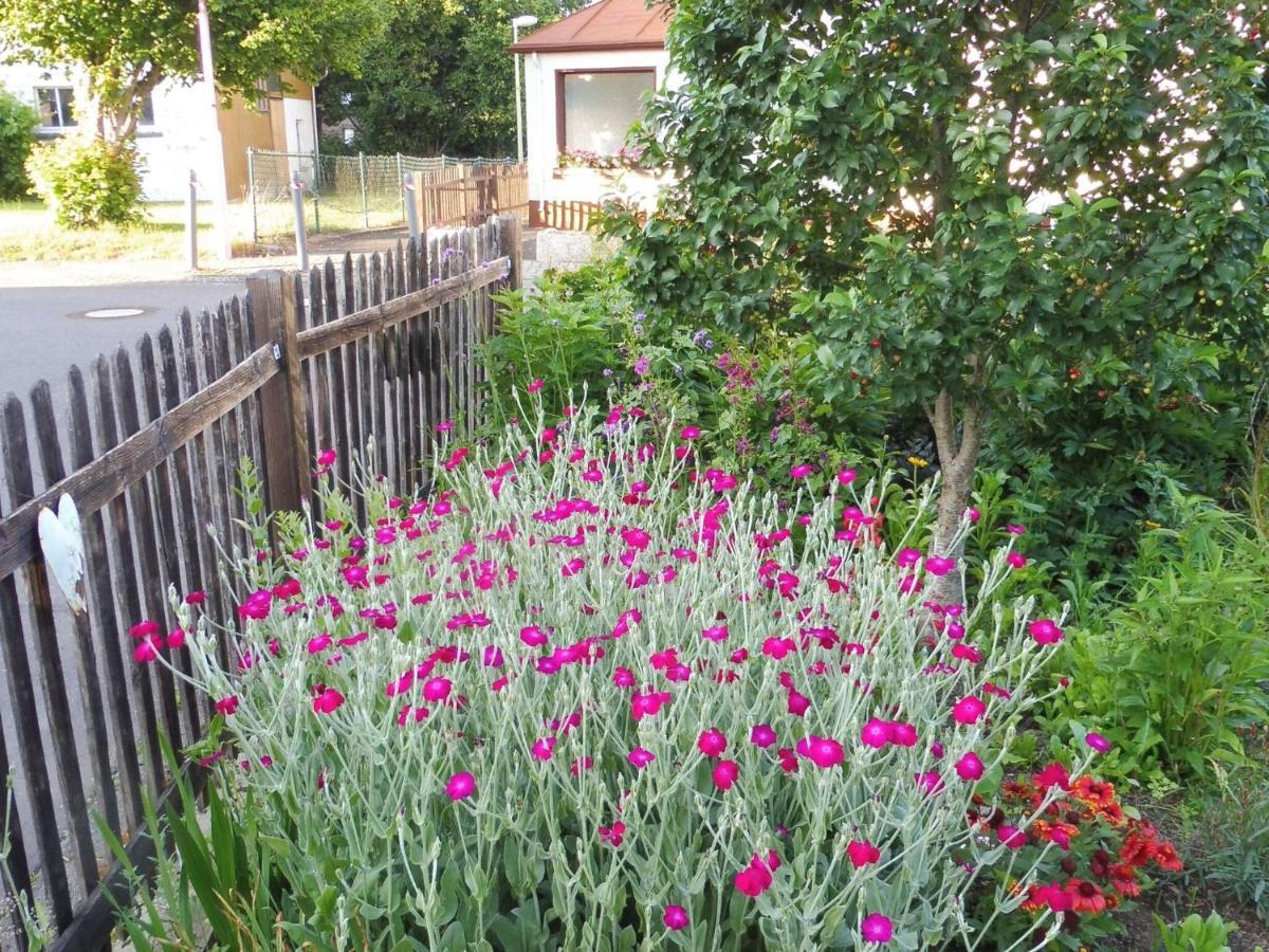 Apartment With Terrace And Pool In The Garden Pracht Εξωτερικό φωτογραφία